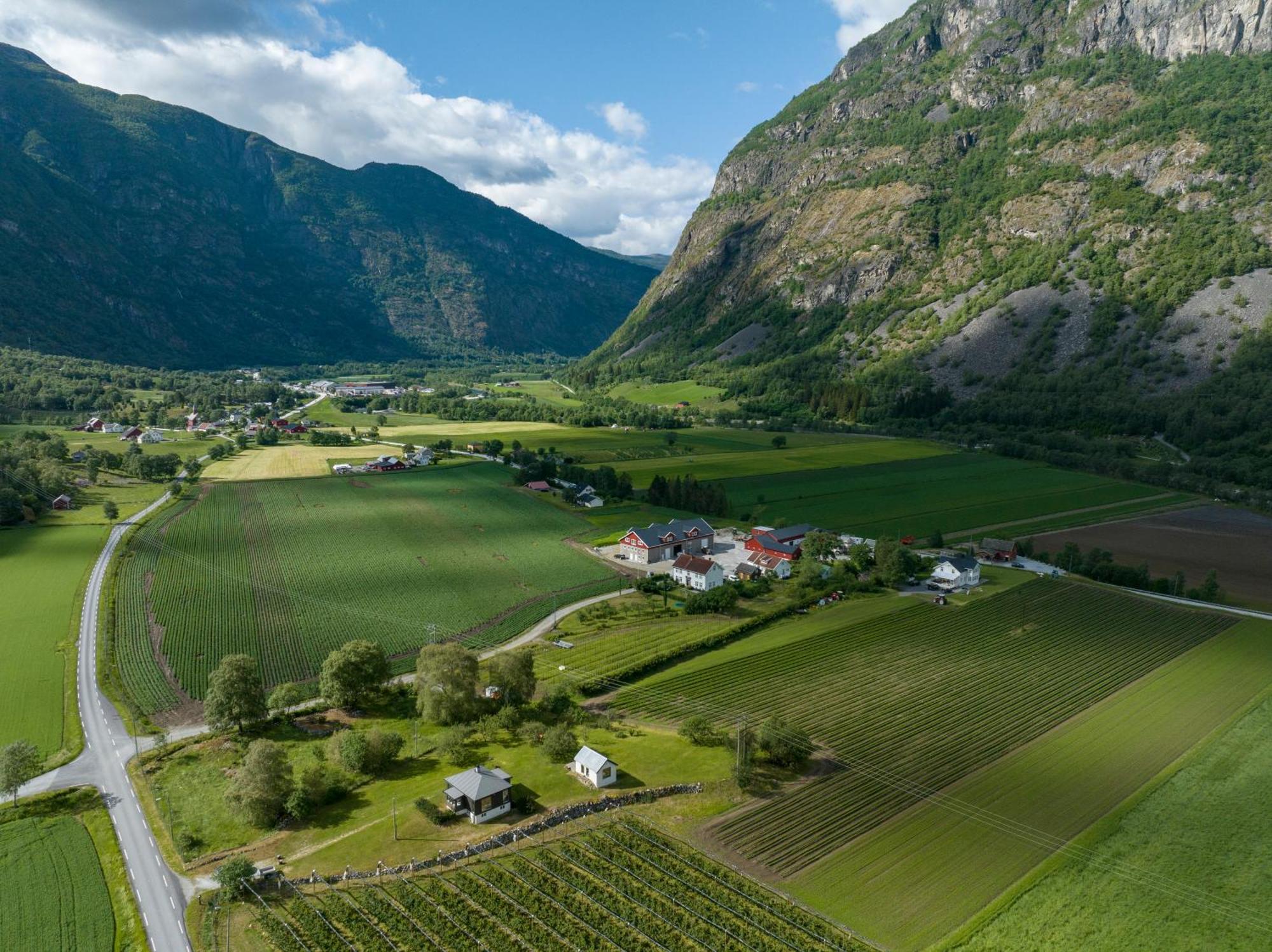 Jordeplegarden Holiday Home - Part Of A Farm - Two Buildings - Close To Flam Lærdalsøyri 外观 照片